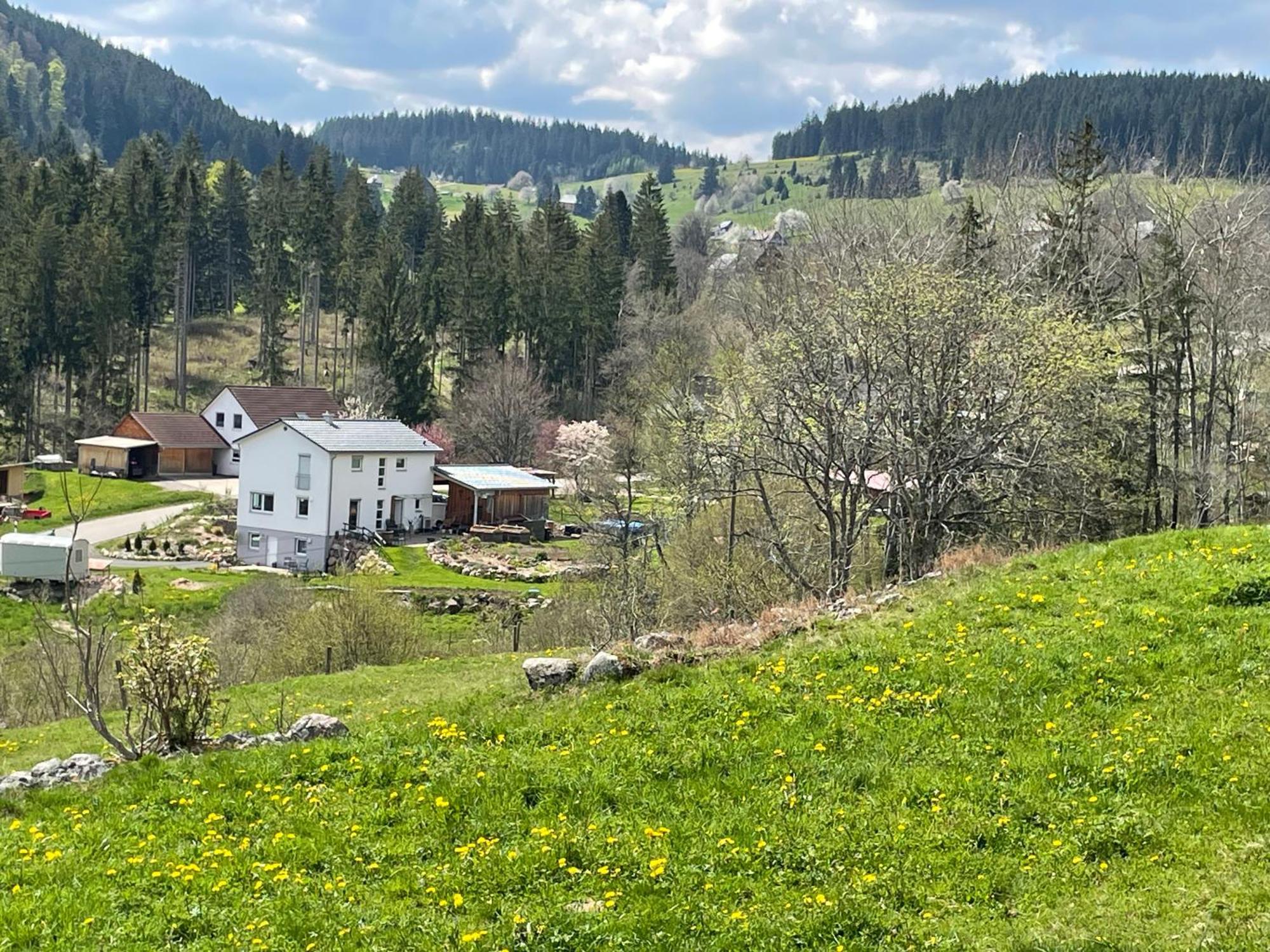 Ferienwohnung Am Hirtenpfad 렌즈키르흐 외부 사진